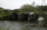 Ponte