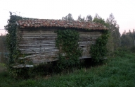 Cabazo en Tallo (I)