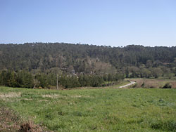 Vista da parroquia da Graa