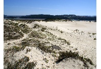 Dunas da Barra