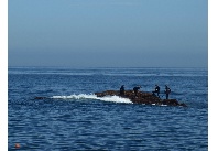 Percebeiros no Pinch�n (Pepe San Lu�s)